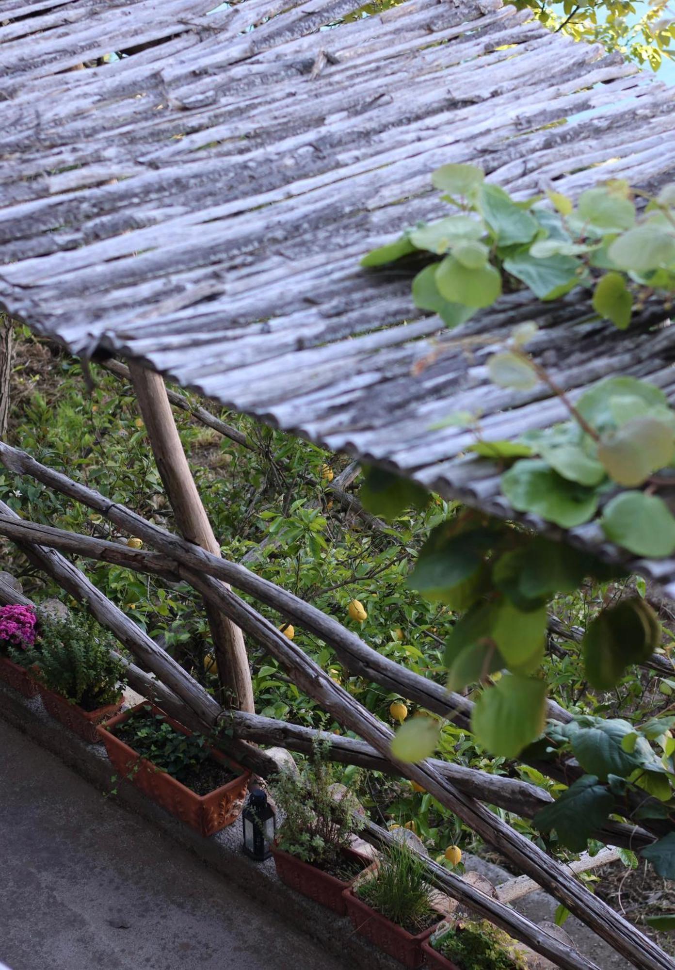 Colle Dell'Ara Bed & Breakfast Positano Eksteriør bilde
